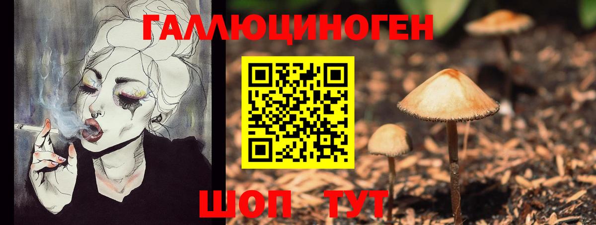 Псилоцибиновые грибы мухоморы Полысаево