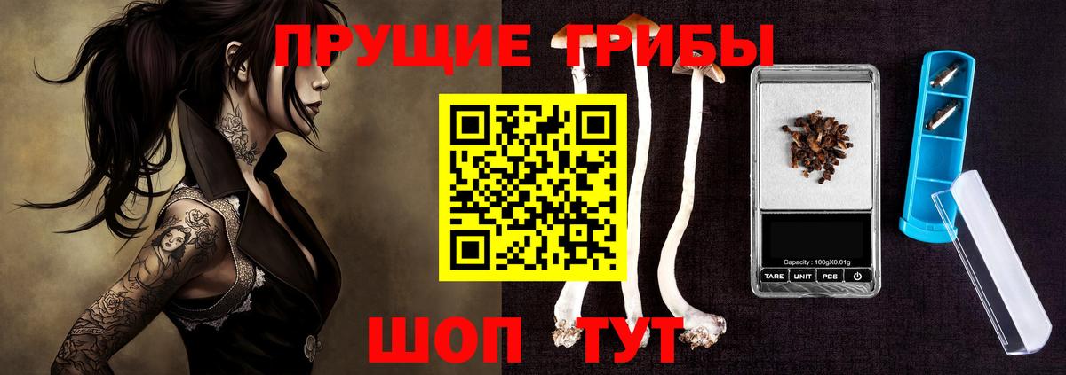 Псилоцибиновые грибы прущие грибы  Вход с VPN  Полысаево 